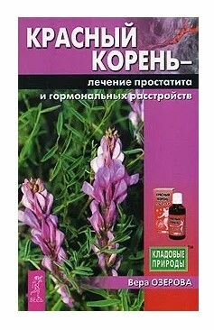 Красный корень. Лечение простатита и гормональных расстройств