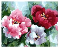 Paintboy Картина по номерам "Цветные маки" 40х50 см (GX6176)
