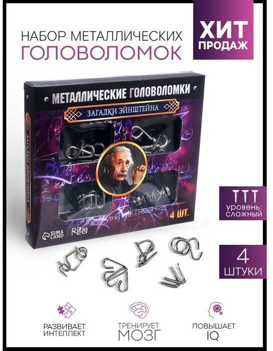 Puzzle Головоломка металлическая «Загадки Эйнштейна», набор 4 шт.