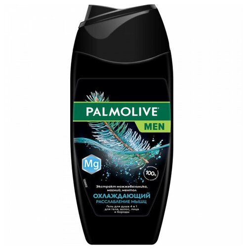 Colgate-Palmolive Гель для душа Palmolive Men Охлаждающий Расслабление Мышц с ментолом и магнием 250 мл