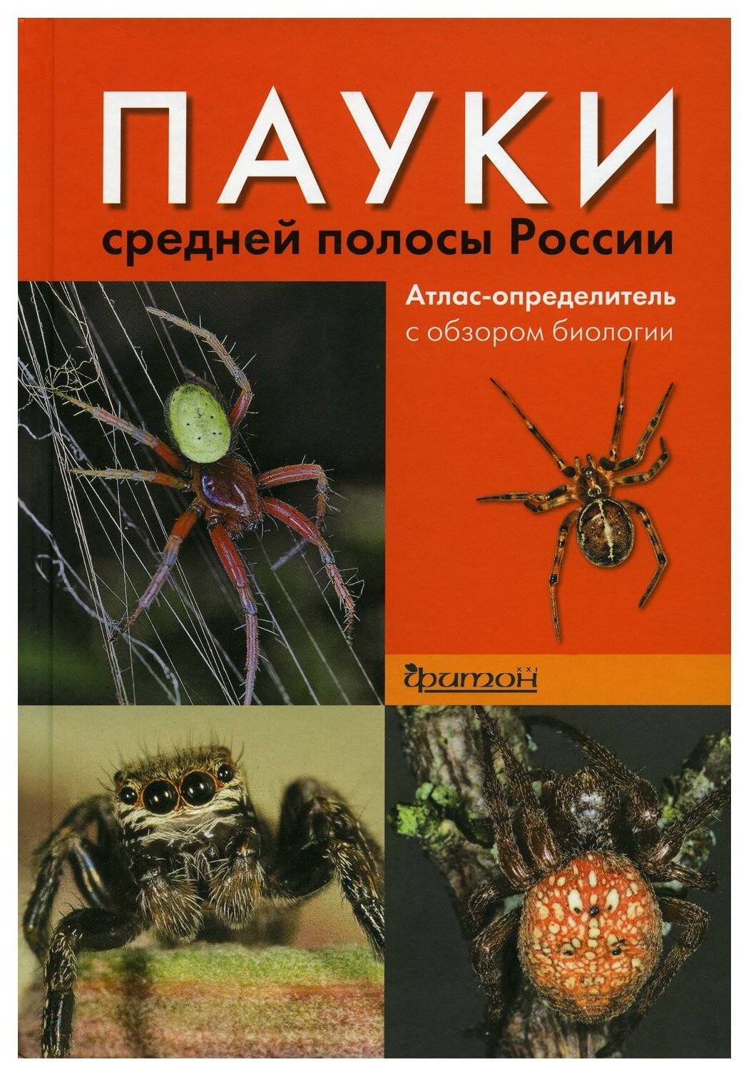 Пауки средней полосы России: атлас-определитель с обзором биологии. 2-е изд, испр. и доп. Сейфулина Р. Р. Фитон XXI