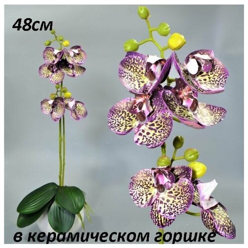 Орхидея реалистичная в керамическом горшке 40см