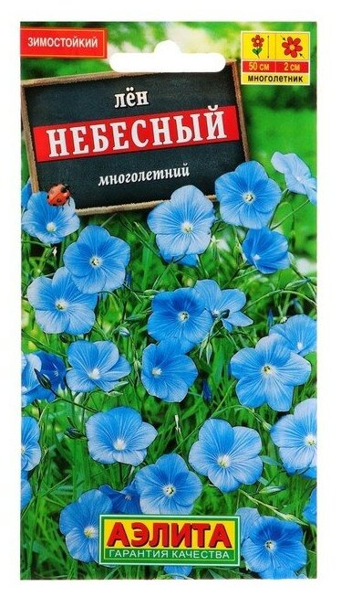 Семена цветов Лен многолетний "Небесный", Мн, 0,5 г