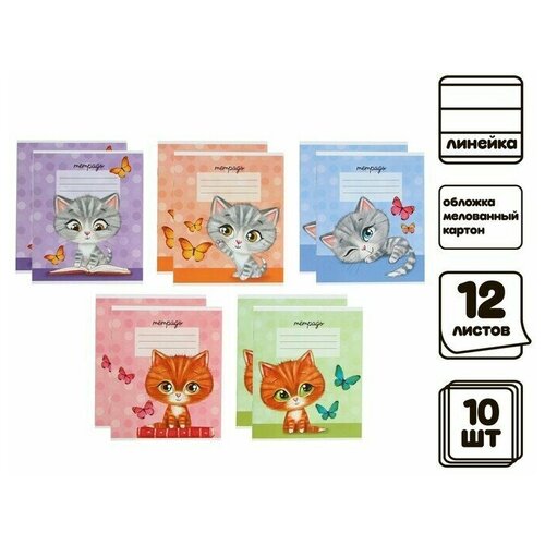 Комплект тетрадей из 10 шт Котят 12 листов в линейку обложка мелованный картон ВД лак блок офсет белизна 92 5 видов по 2 шт 524₽