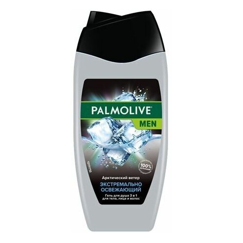 Palmolive MEN Гель для душа Экстремально освежающий Арктический ветер мужской 3 в 1 для тела, лица и волос, 250 мл 4 шт гель для душа palmolive men арктический ветер 3 в 1 для тела лица и волос 250мл х 2шт