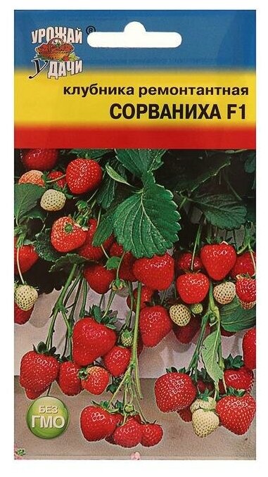 Урожай удачи Семена Клубника ремонт. "Сорваниха" F1,5 шт.