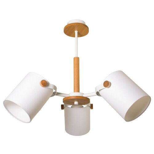 фото Люстра дубравия эйри 216-711-23