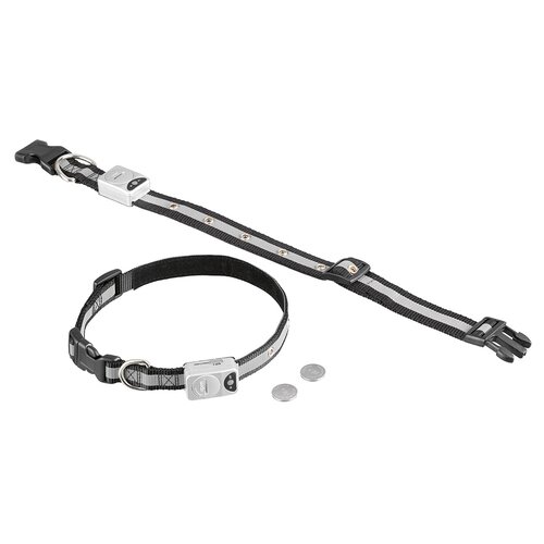 фото Ошейник nobby starlight