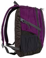 Рюкзак POLAR П2319 (фиолетовый)