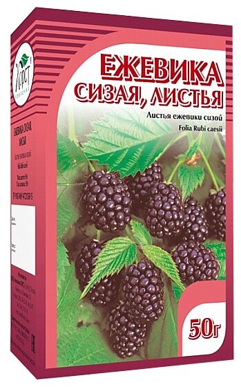 Хорст листья Ежевика сизая, 50 г