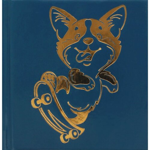 Феникс + Записная книжка Notebook ( 105 x 105 мм) 80 л. без линовки пес скейтбордист 56945