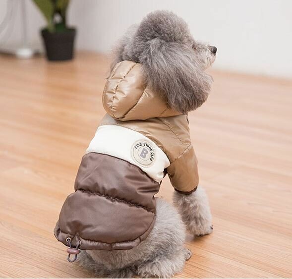Куртка для собак мелких пород Arnydog "Аляска" бежевая, M ( 26 см ) - фотография № 2