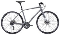 Шоссейный гибрид Silverback Scento Road (2019) dacota grey/arctic white/aston black XS (158-165) (тр