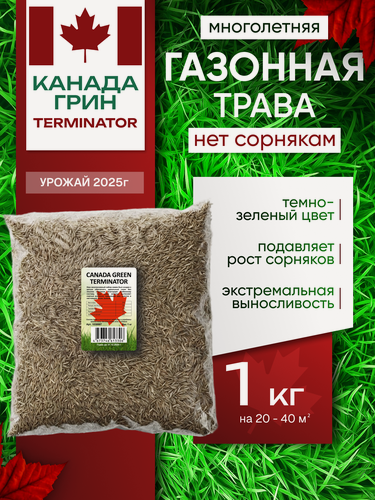 Изображение товара Газонная трава семена Канада Грин Нет сорнякам 1кг / Canada Green Terminator 1кг