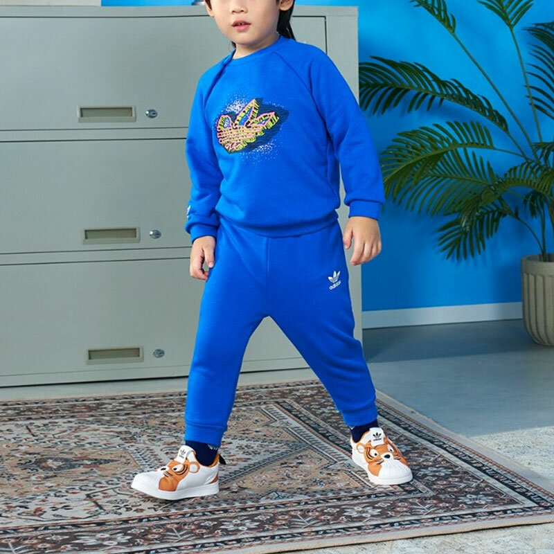 Боди
