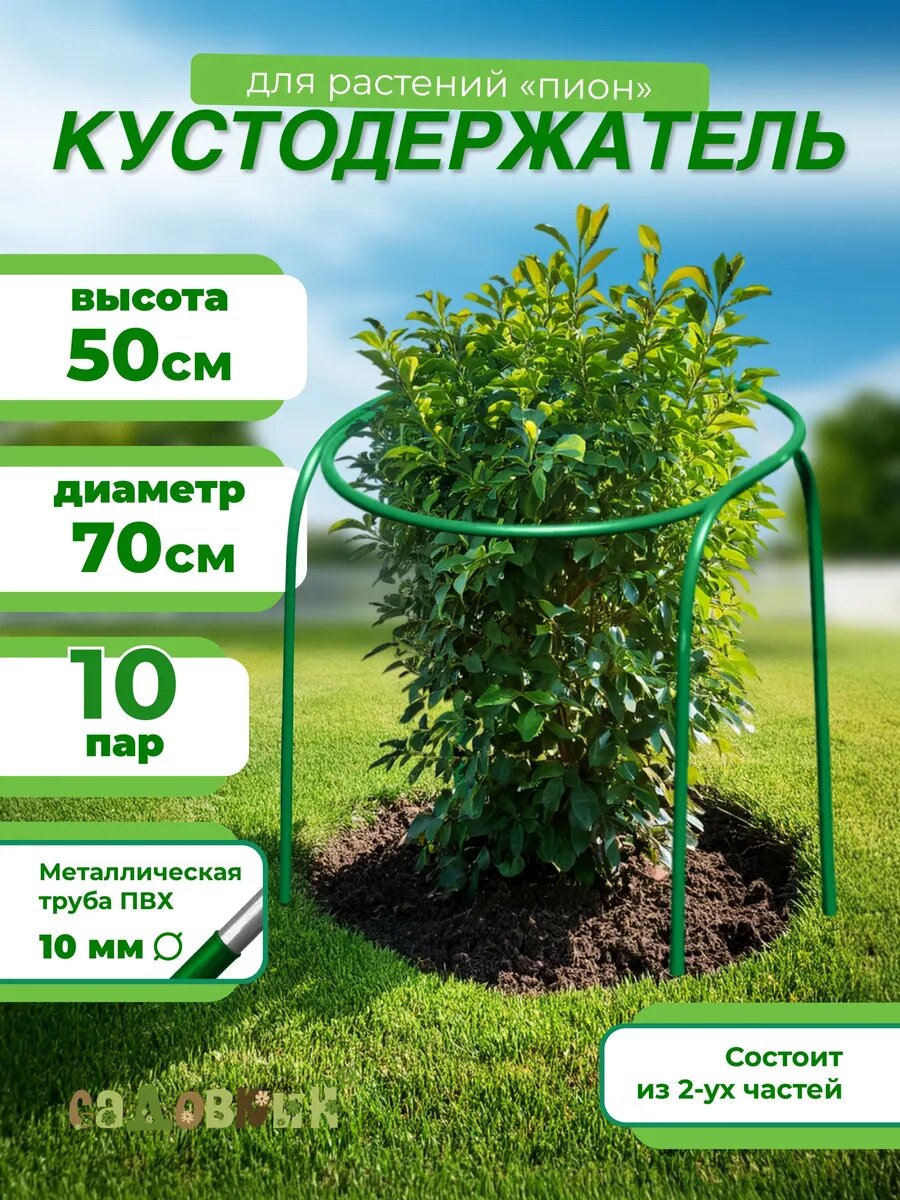 Кустодержатель Пион Диаметр-0,7м, Высота-0,5м (10 пар)