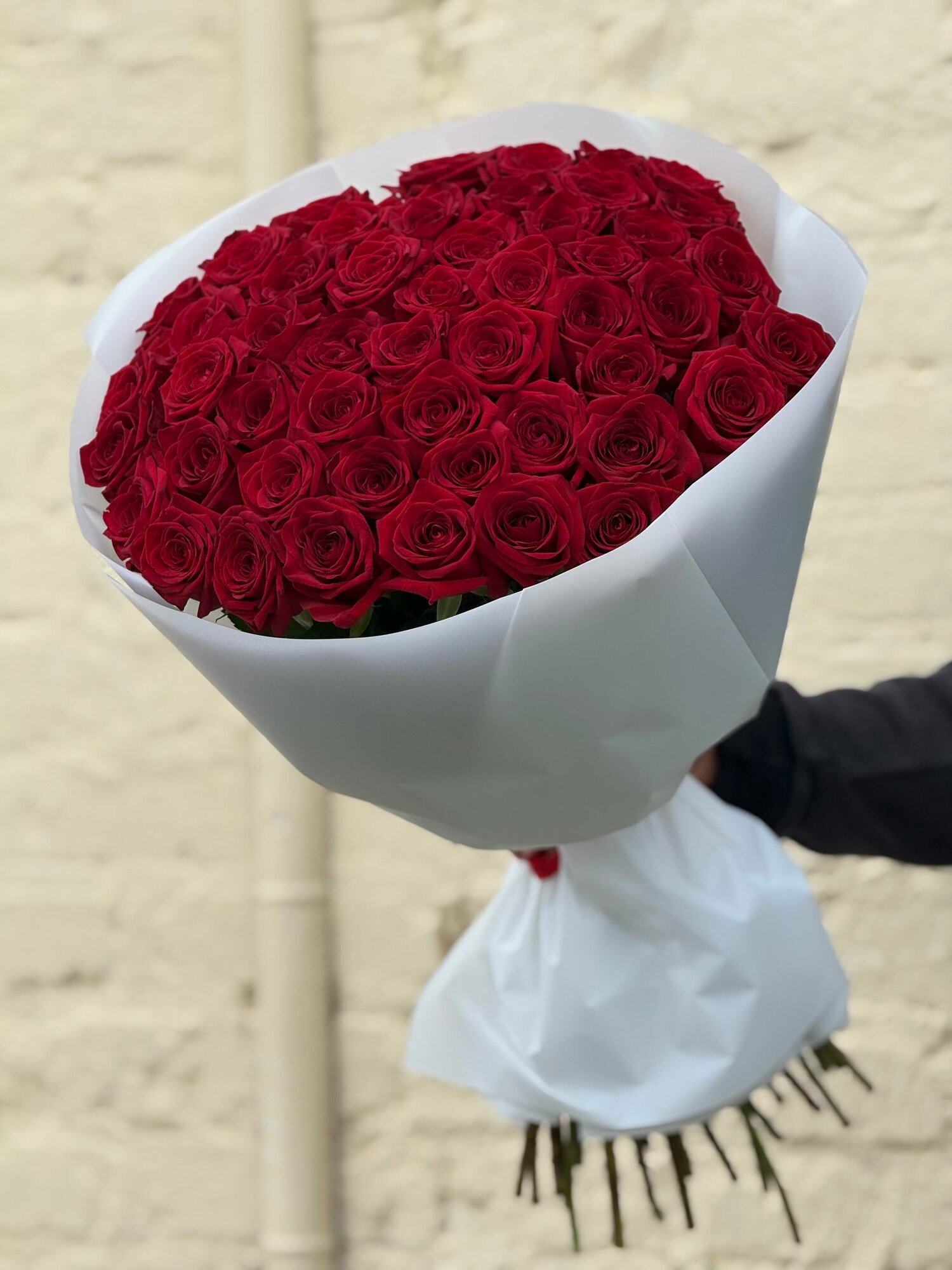 Розы 51шт Букет из 51шт бордовый розы Букет из красных роз.