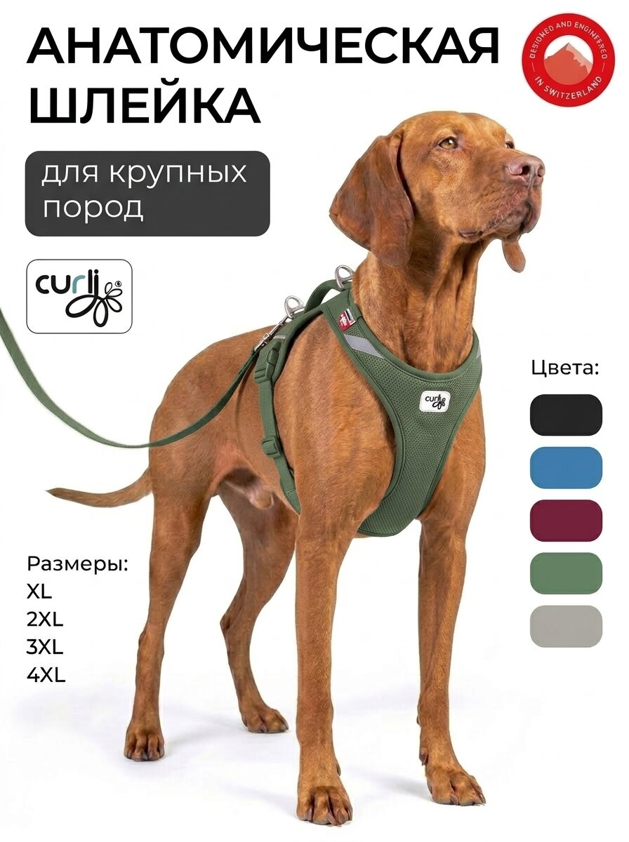 Шлейка для собак крупных пород Curli Belka анатомическая, мох, 2XL