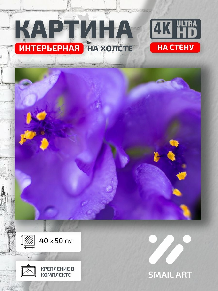 Картина на холсте интерьерная 40 на 50 на стену Пестик Mood для гостиной атмосфера интерьер