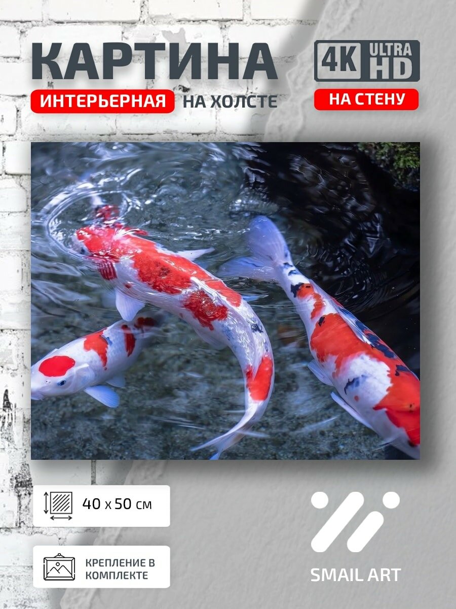 Картина на холсте интерьерная 40 на 50 на стену Птицы Koi для офиса атмосфера