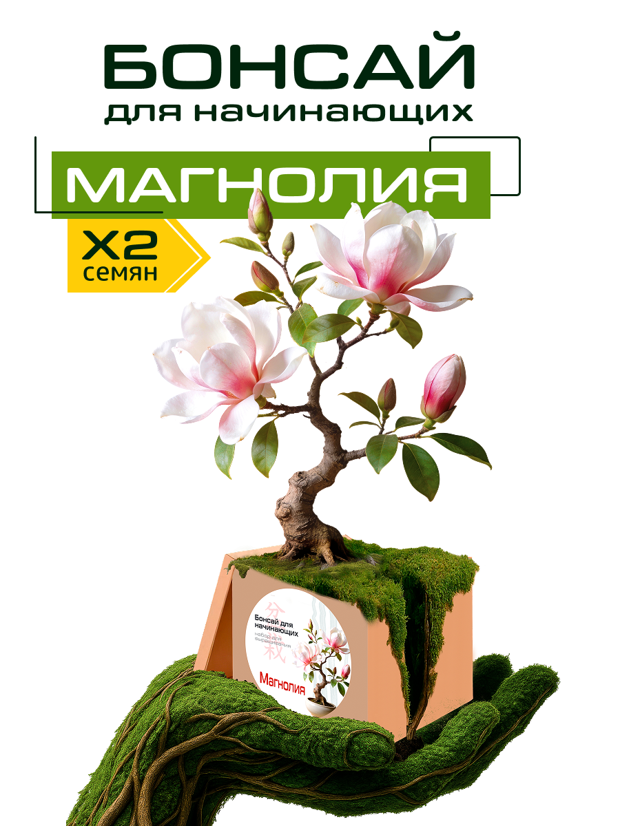 Набор для выращивания растений "Бонсай для начинающих. Магнолия"