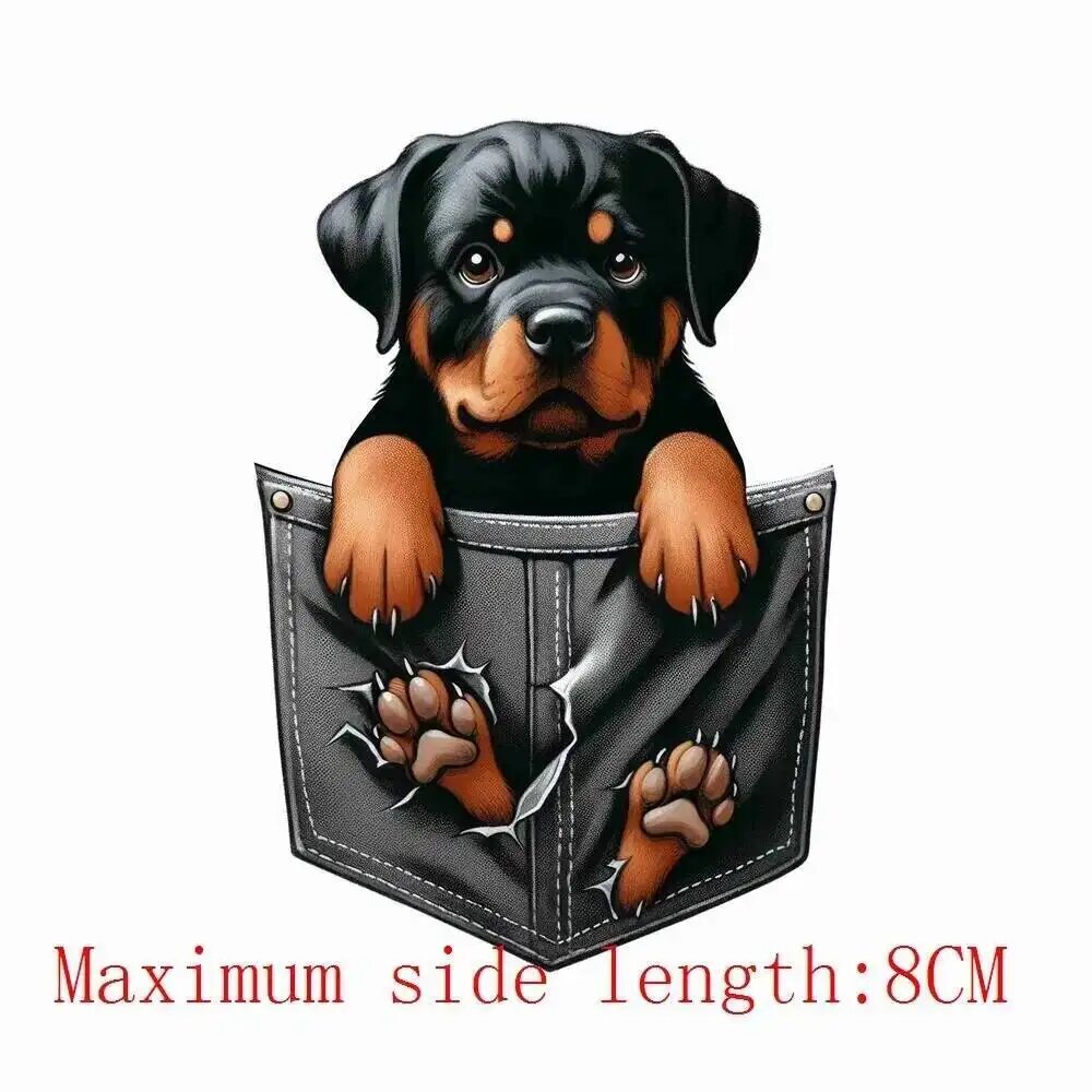 Наклейка на одежду Rottweiler в кармане, 8 см, YTH007-3