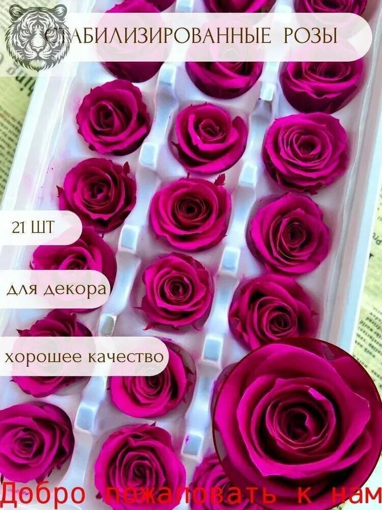 Стабилизированные цветы Роза, 21 шт
