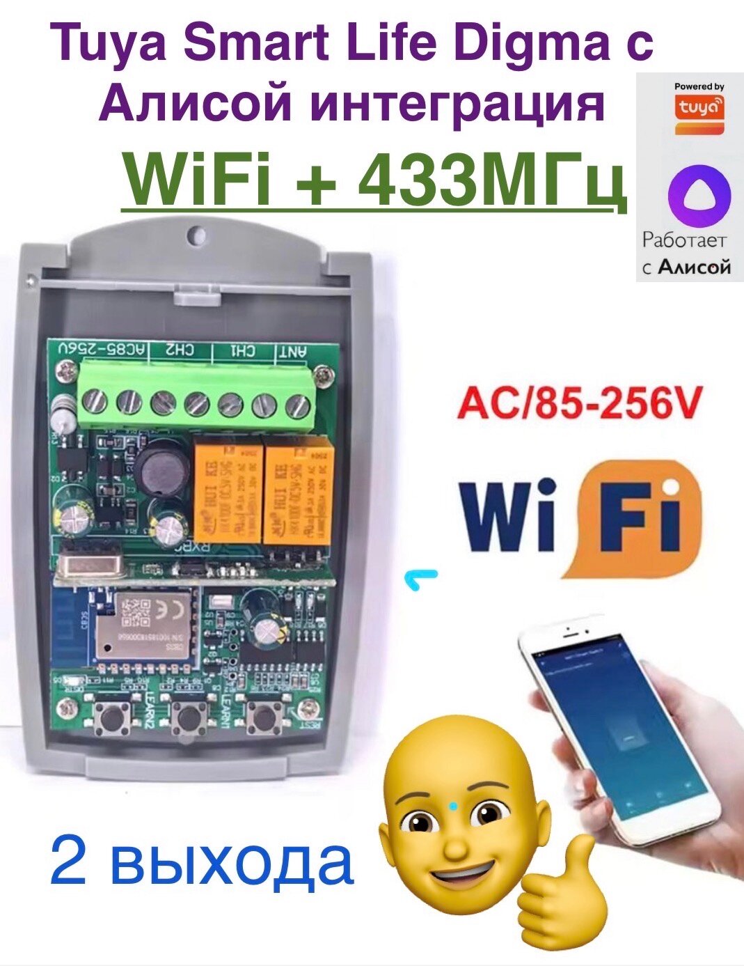 Умный переключатель реле WiFi + 433МГц Tuya 2 выхода с пультом с Алисой интеграция