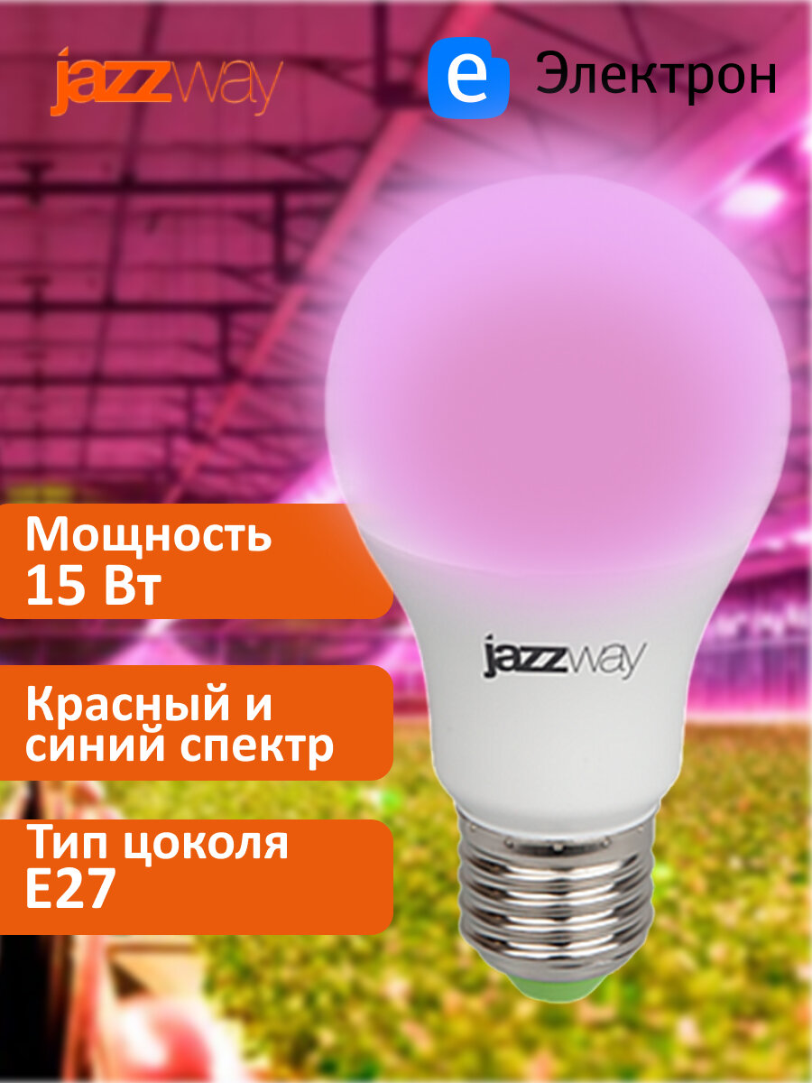 Фито лампа светодиодная для растений цветов и рассады Jazzway PPG Agro Frost 15Вт E27 шар .5025547