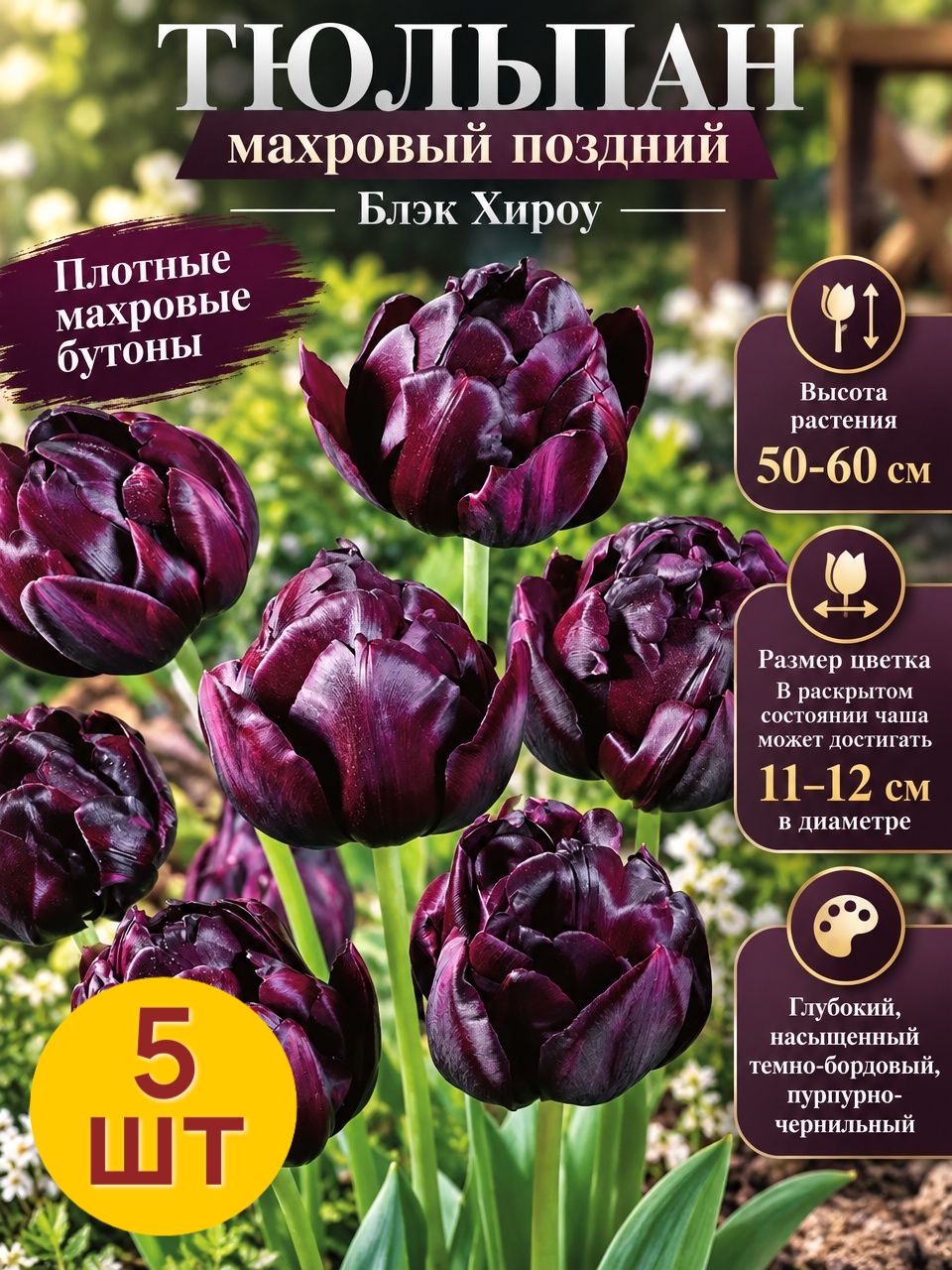 Тюльпан махровый поздний блэк хироу 11/12 / 5 луковиц