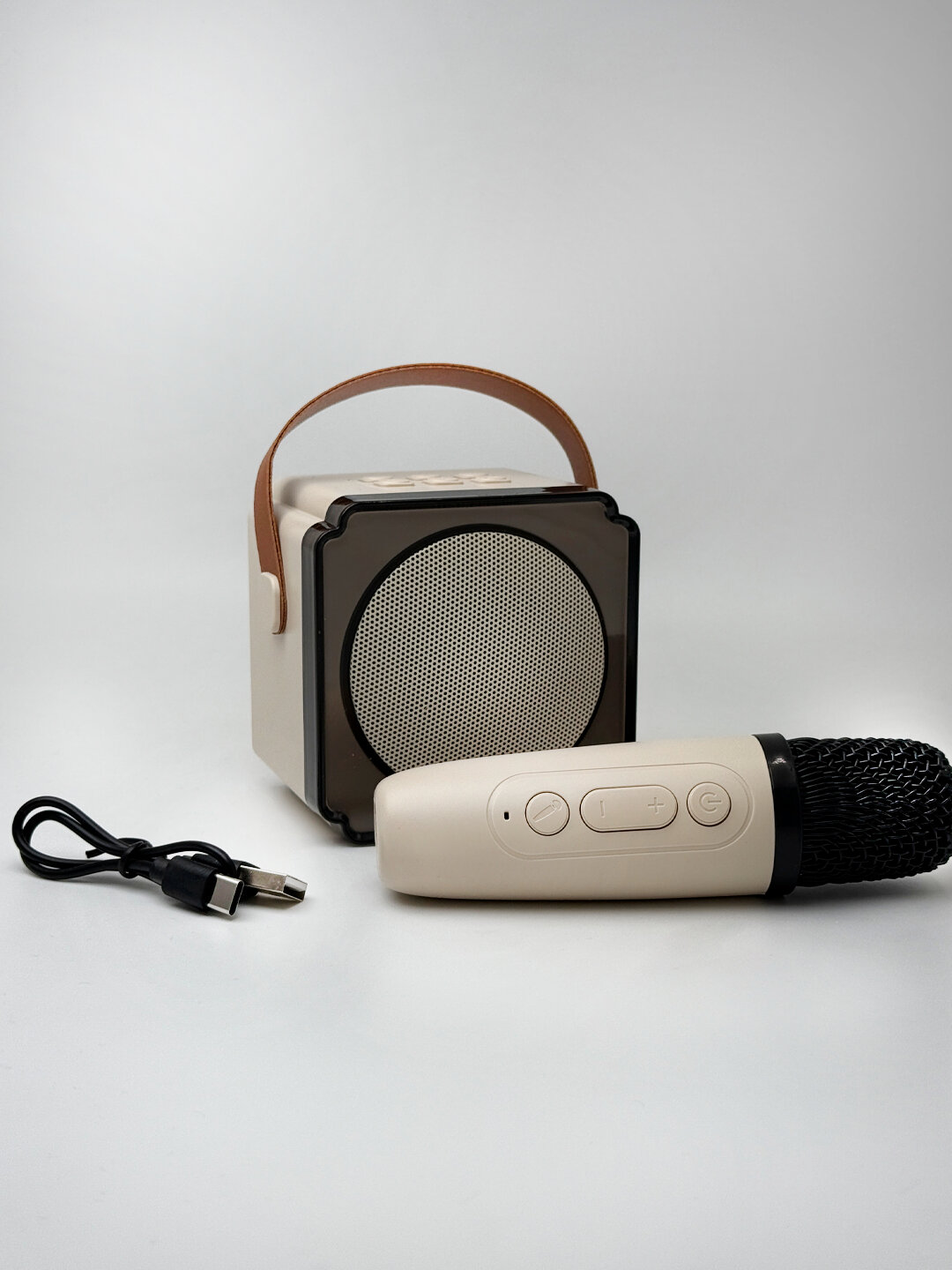 Портативная караоке колонка с Bluetooth и микрофоном для iOS и Android — фото 1