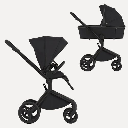 Изображение товара Детская коляска 2в1 Anex Flo, цвет Lungo (Чёрный), артикул производителя fl-05c