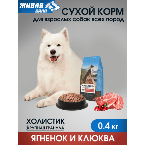 фото Живая сила. сухой корм для собак поддержка суставов "джамп" с ягненком, крупная гранула 0,4 кг jj-sport