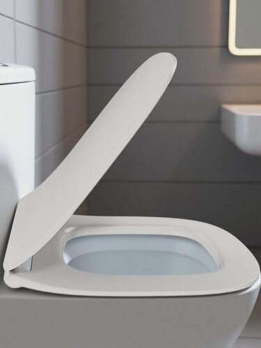 Изображение товара Сиденье для унитаза Jacob Delafon Struktura E70025-00, фарфоровое