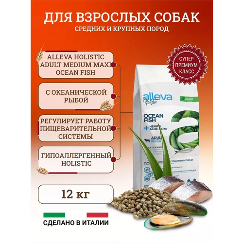 фото Alleva holistic adult ocean fish mediummaxi сухой корм для взрослых собак с океанической рыбой, алое вера 12 кг