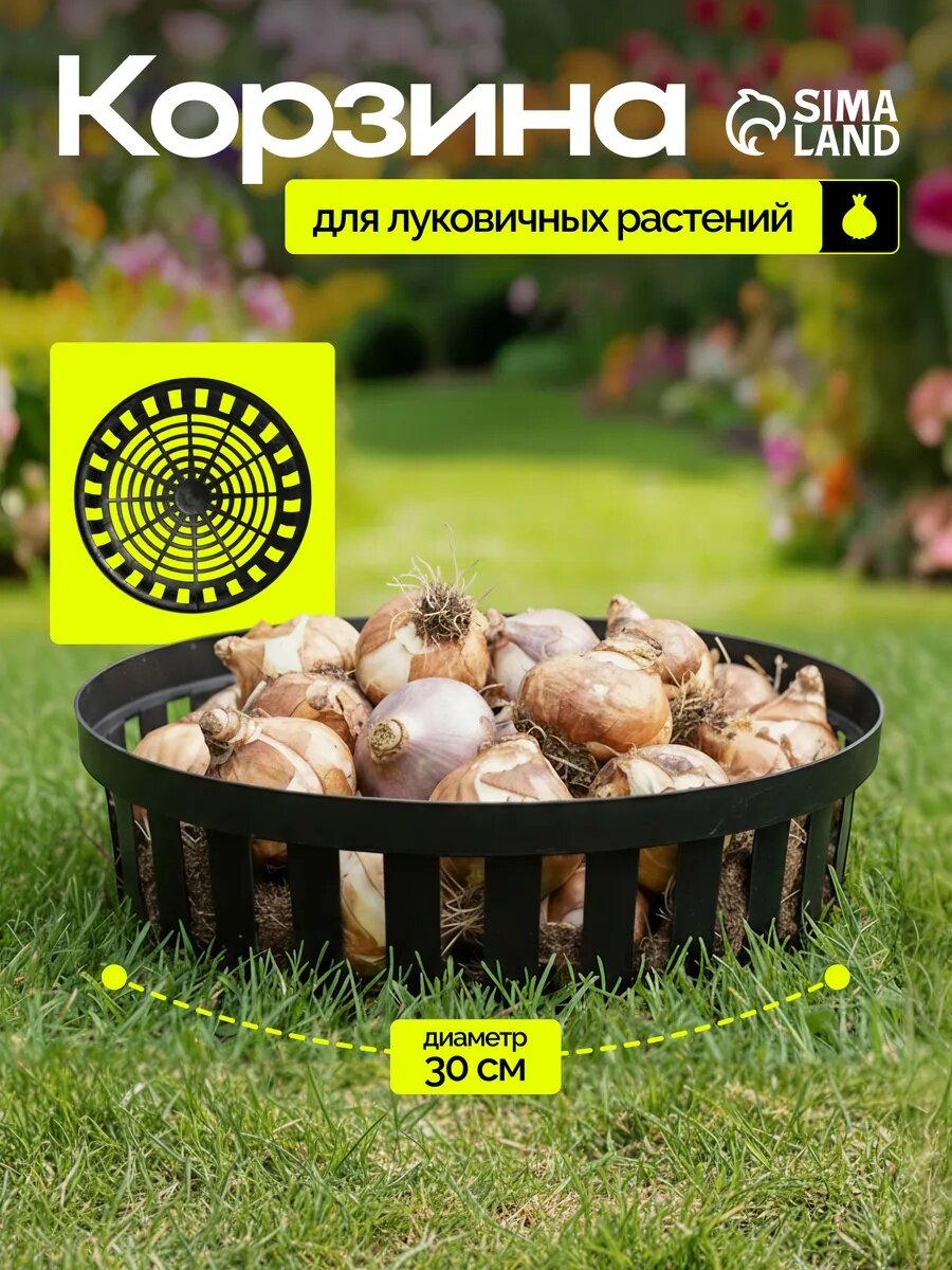 Корзина для посадки луковичных растений  круглая  d   30 см  h   8 см  чёрная