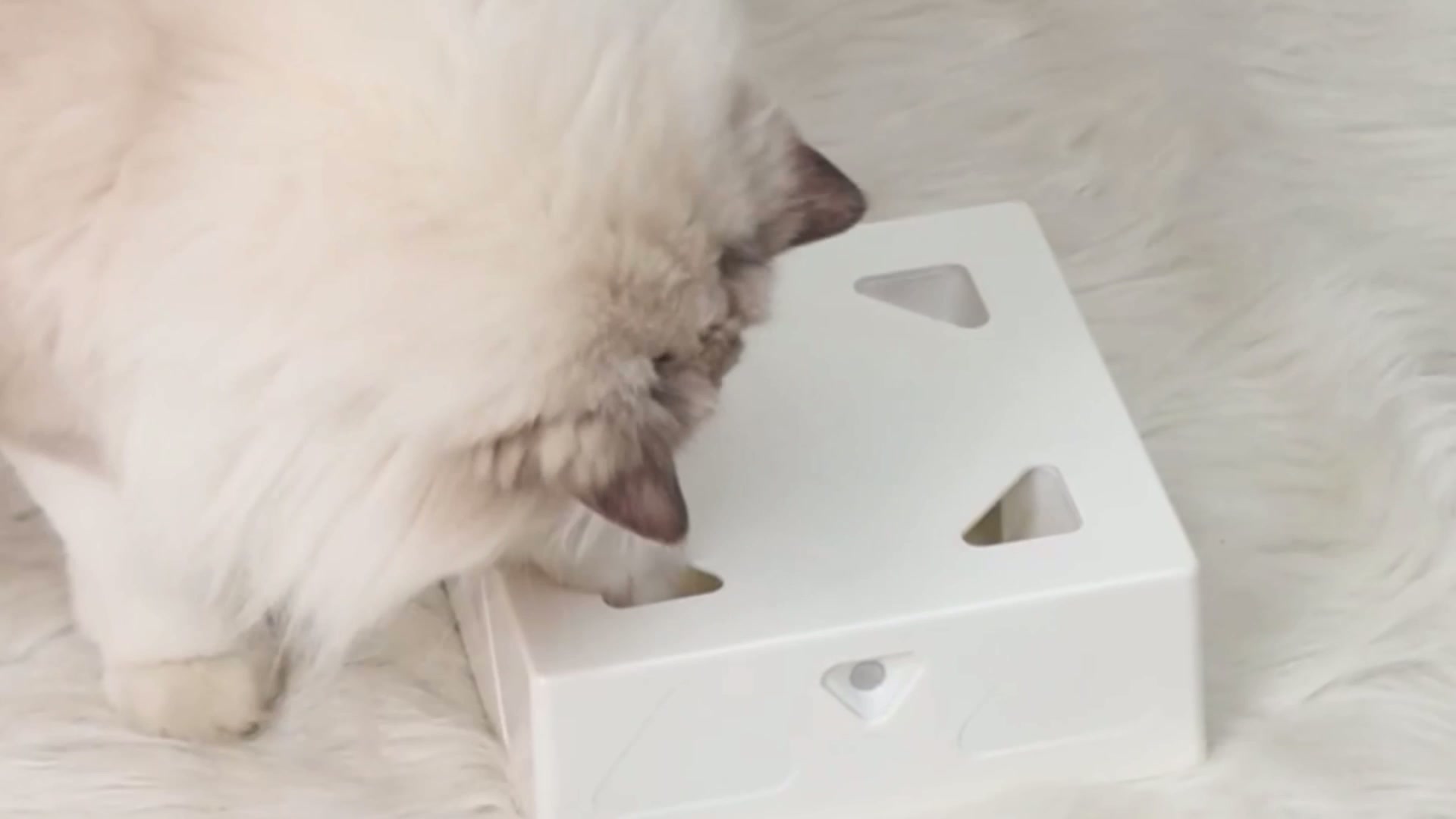 Интерактивная игрушка для кошек Волшебная шкатулка — фото 1