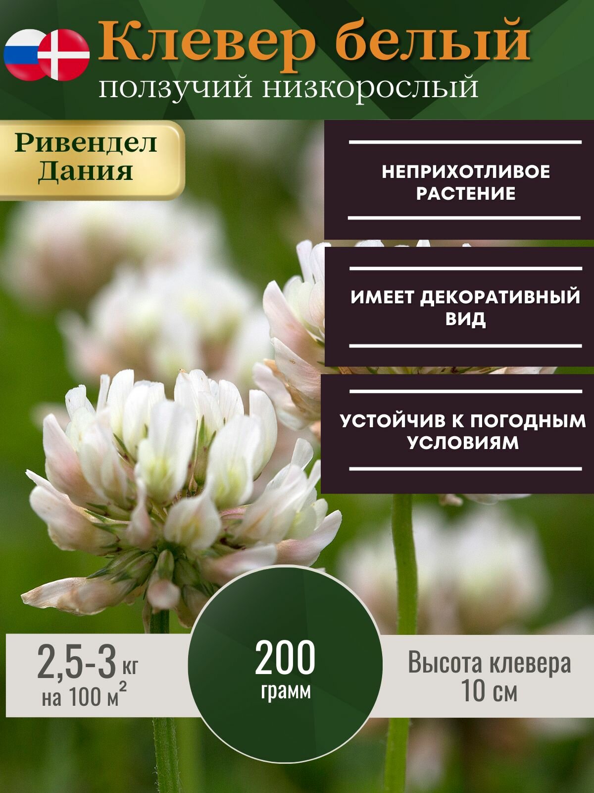 Клевер белый семена Ривендел 200 грамм, газонная трава семена