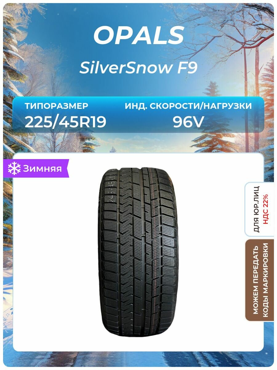 Шина OPALS SilverSnow F9