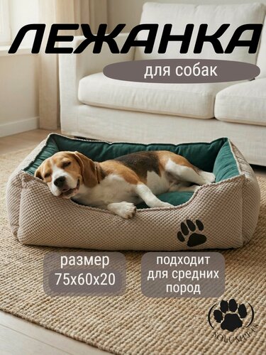 Изображение товара Лежанка SOLUMPETS, прямоугольная, антивандальная, с бортиком, бежевая