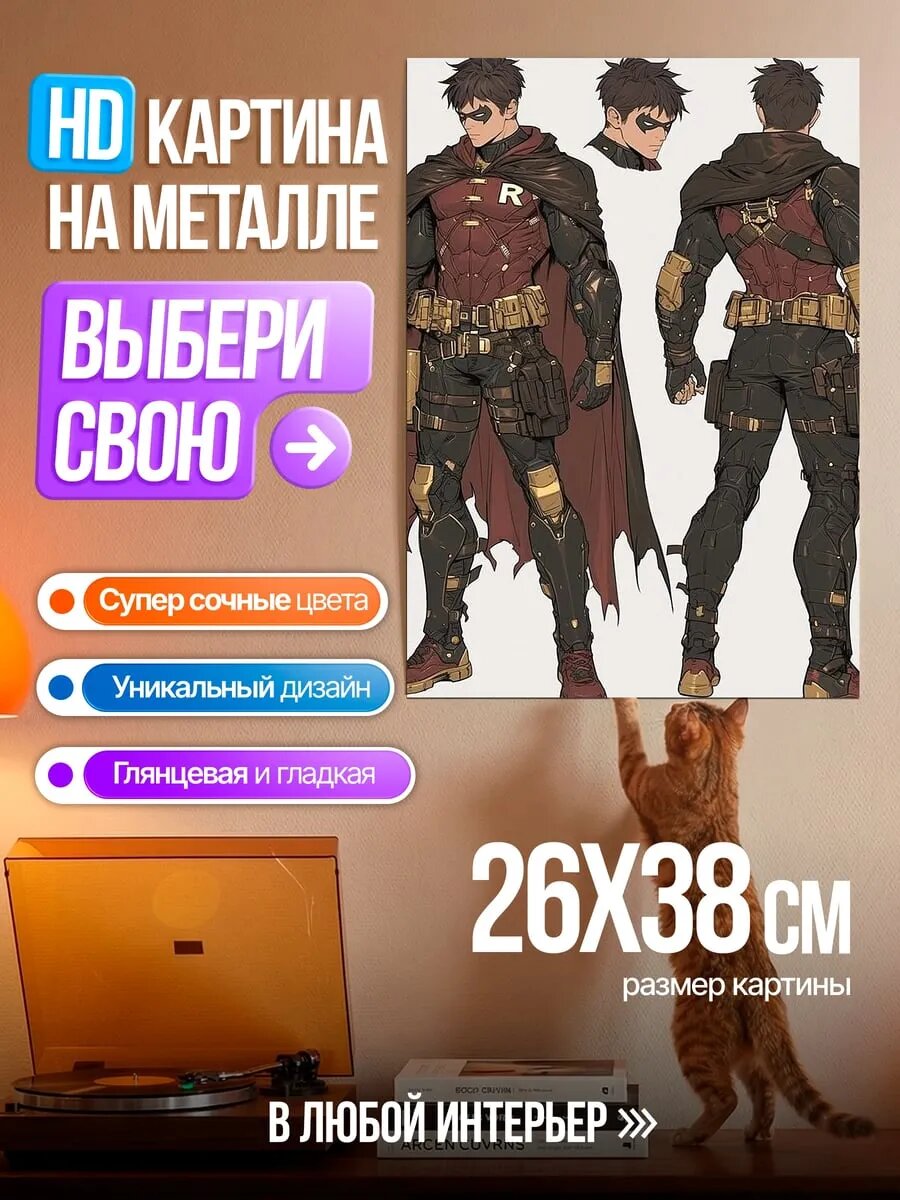 Картина на HD металле Робин новый костюм