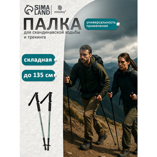 Палка треккинговая Maclay, телескопическая,3-х секционная, до 135 см (1 шт), цвет оливковый 10349418