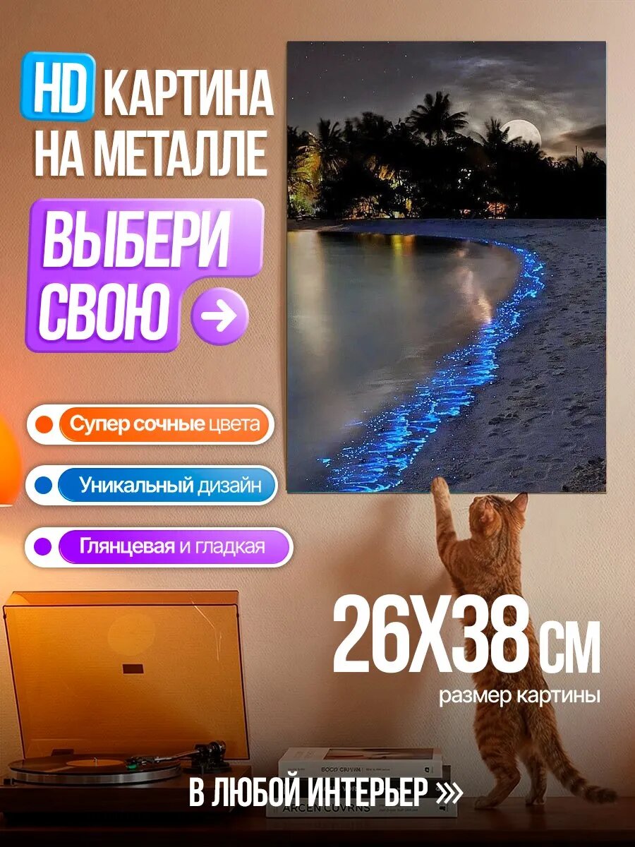 Картина на HD металле Биолюминесцентный пляж
