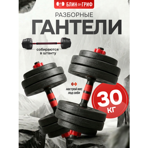 Гантели разборные Блин да Гриф 15 кг 2 шт общий вес 30 кг