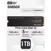 Фото Western Digital WD Black SN850X