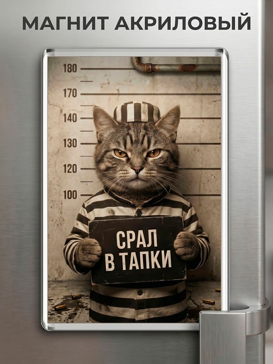 Магнит на холодильник с приколом "Гадил в тапки"