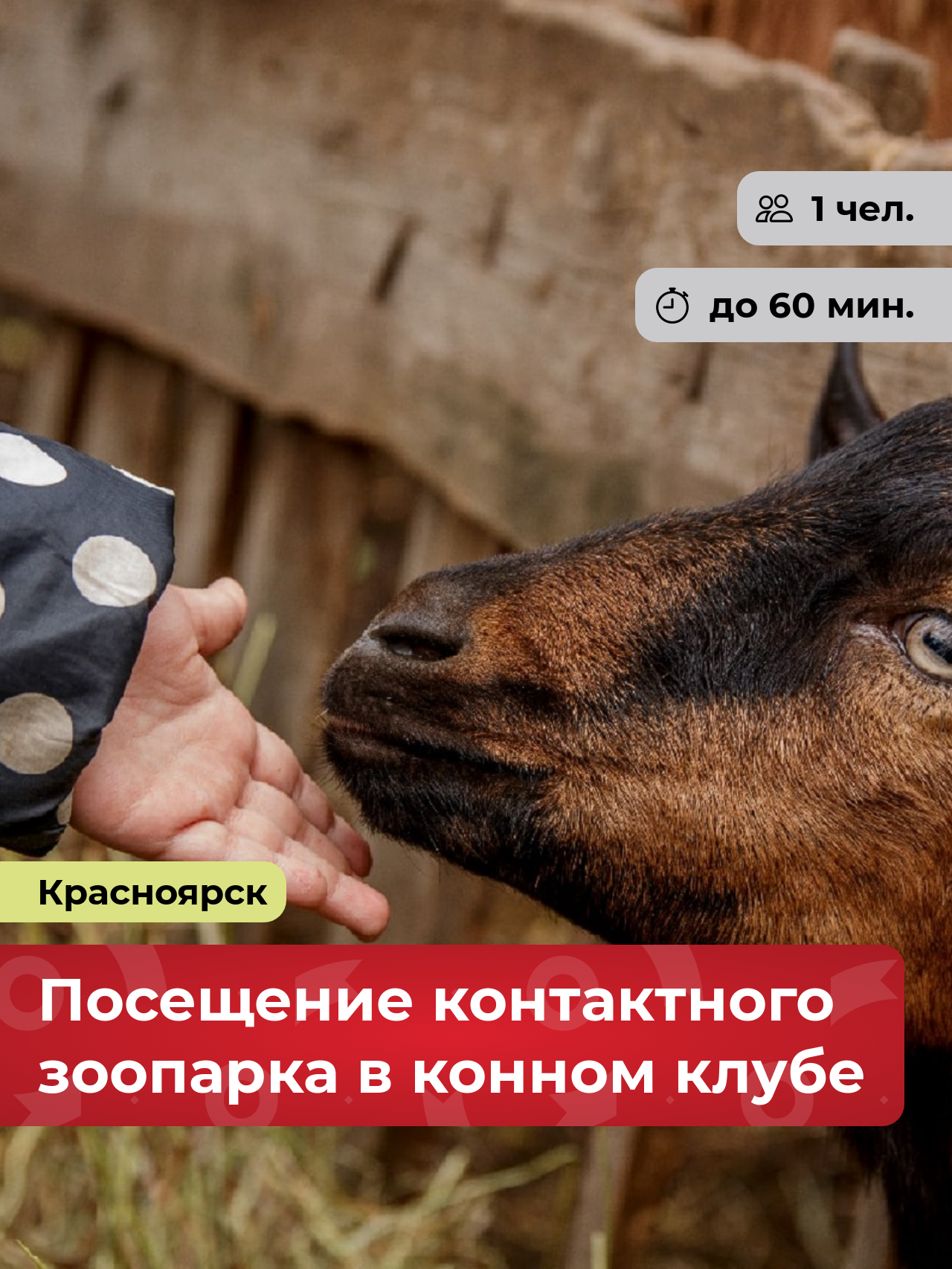 Подарочный сертификат bonodono Посещение контактного зоопарка в конном клубе «Любовь к природе. », г. Красноярск
