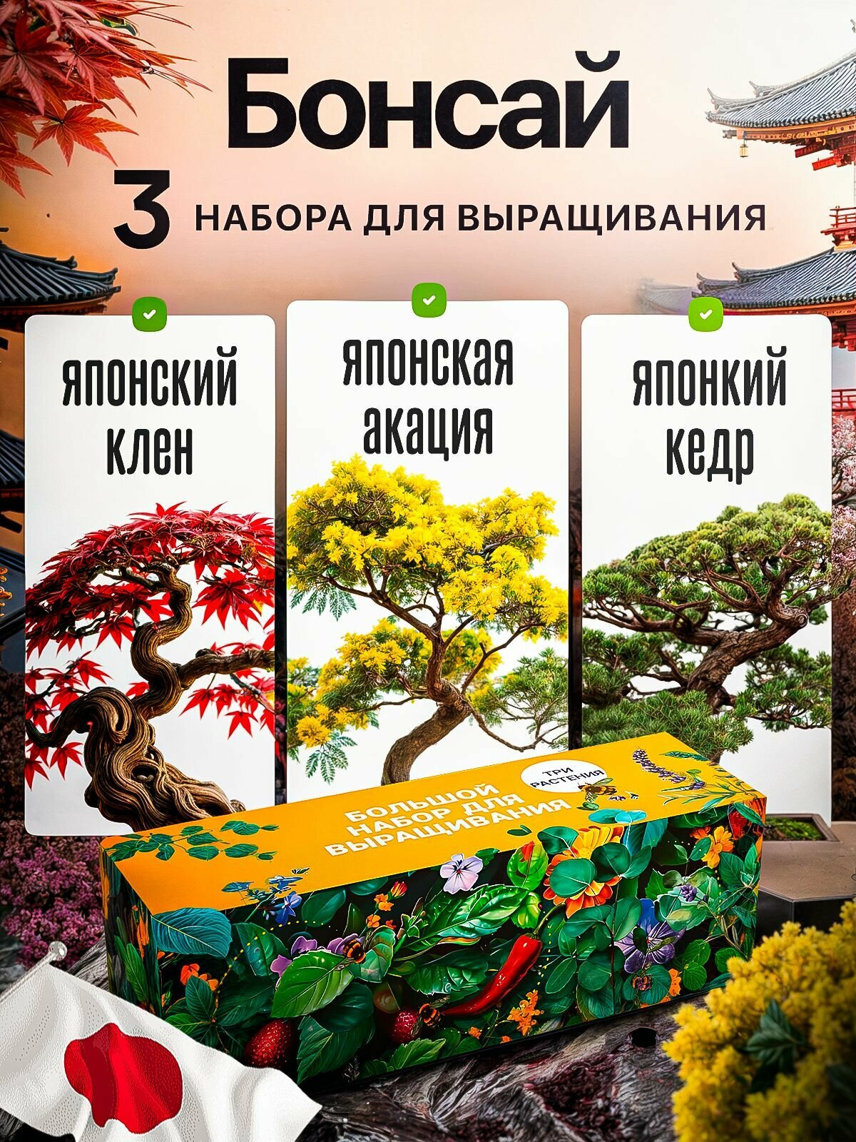 Бонсай набор для выращивания растений Клен Кедр Акация