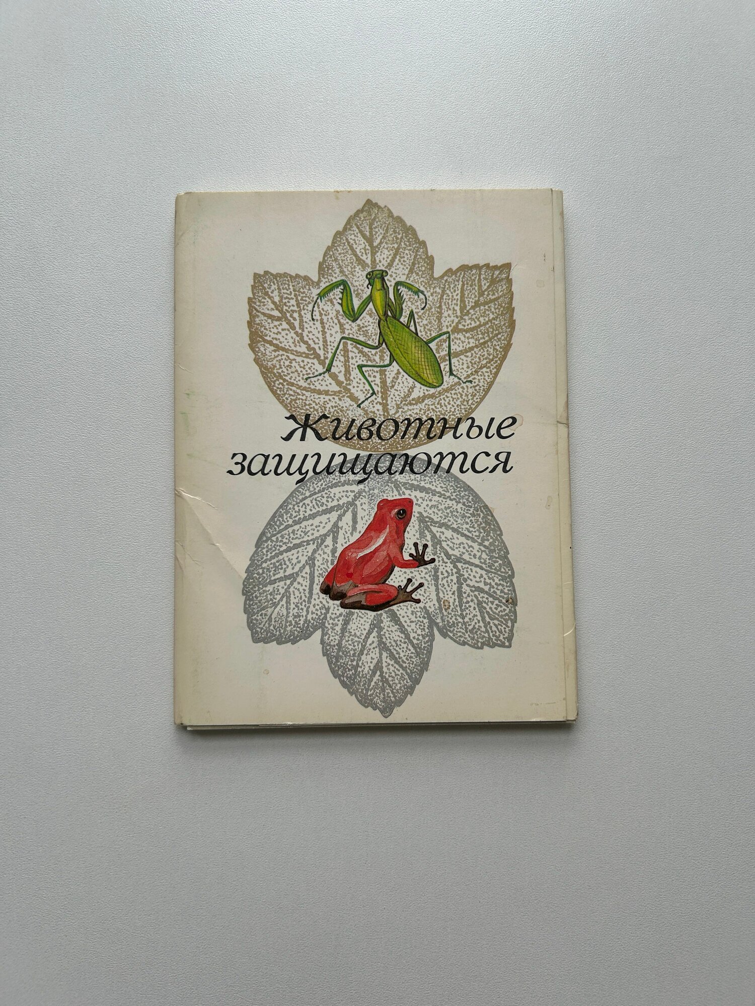 Набор винтажных открыток СССР "Животные защищаются". Изданы в 1988 году