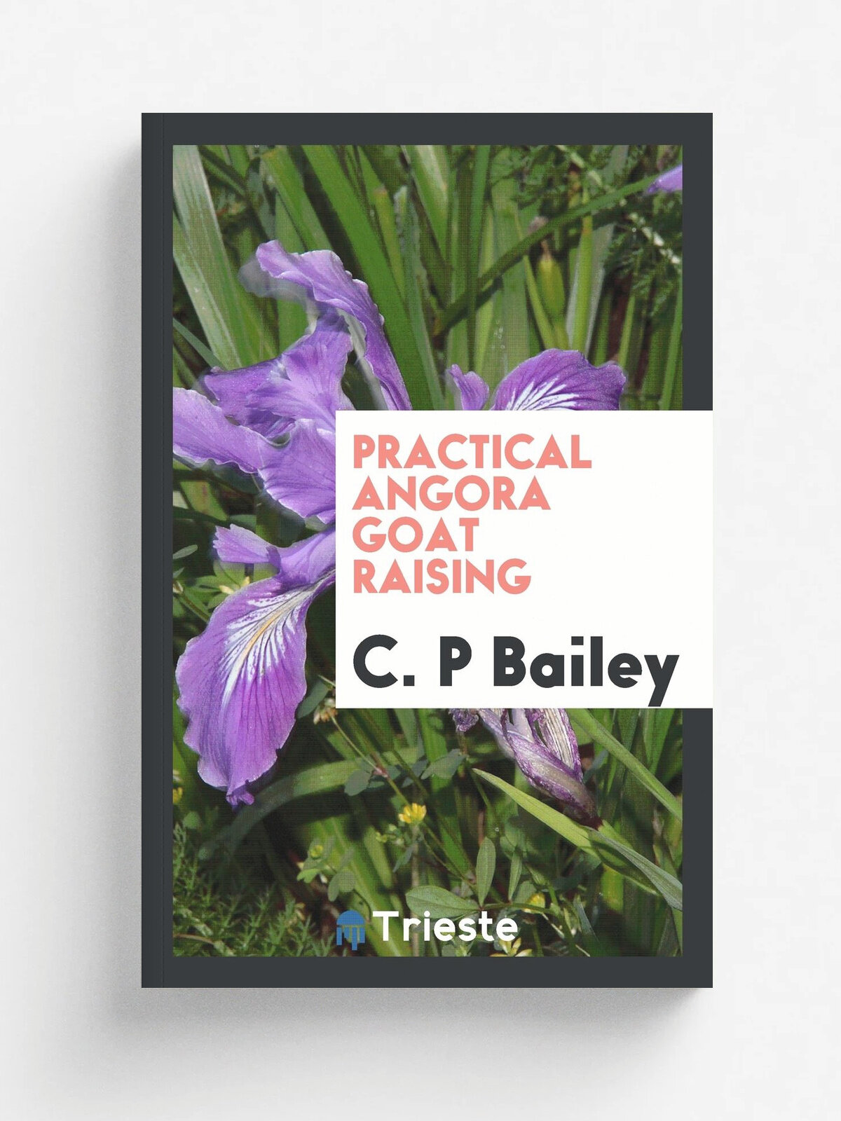 Practical Angora goat raising